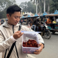 Thượng Phẩm Saffron Chân Tuyết Kashmir 