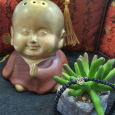 Vòng Tay Nút Thắt Cát Tường Tây Tạng