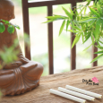 Tuyệt Phẩm Chiên Đàn Trắng Linh Thiêng 