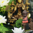Nụ Dược Sư Cầu Bình An, Xua Bệnh Tật (Hộp 20 Nụ)