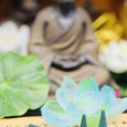 Nhang Nụ Tara Xanh (Gói 50 Nụ)