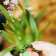 Sắc Xanh Vi Diệu Của DiopSide 