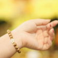 Trầm Hương Rừng Hoa Mai 