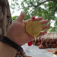 Lá Bồ Đề Dát Vàng