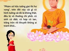 Hạt Cải Vô Thường