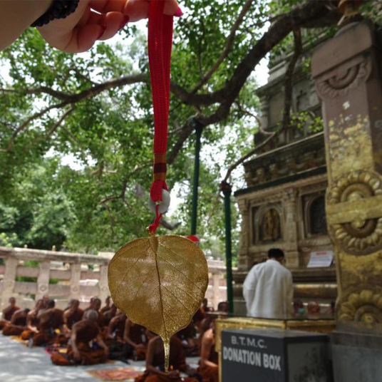 Lá Bồ Đề Dát Vàng